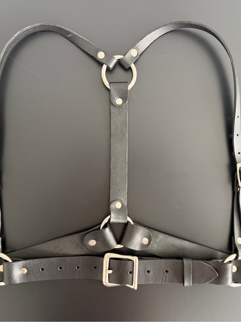 ZANA BAYNE - Signature Harness SIZE M - Black Leather Harness - Picture 2 of 7